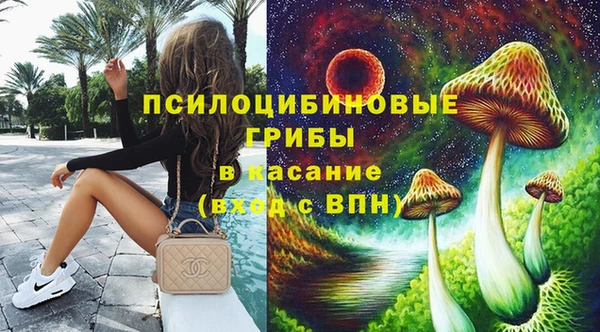бошки Покачи