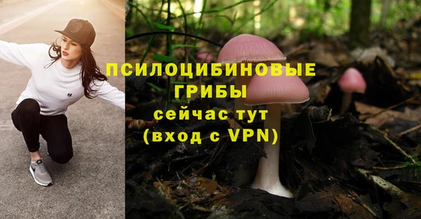 дживик Переславль-Залесский