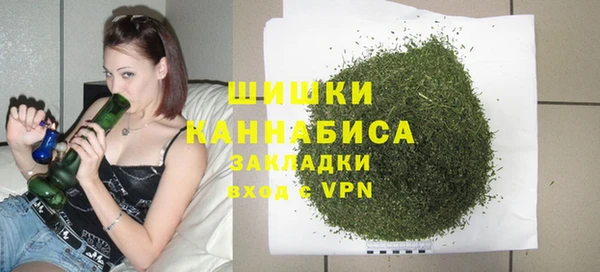 дживик Переславль-Залесский