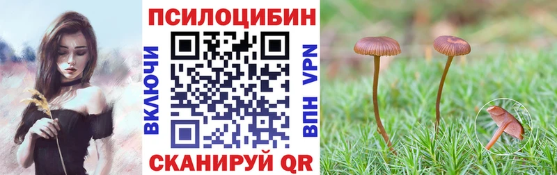 где продают   Вичуга  Галлюциногенные грибы Psilocybine cubensis 